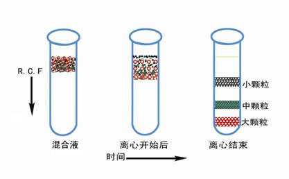 醫用離心機常用的離心方法